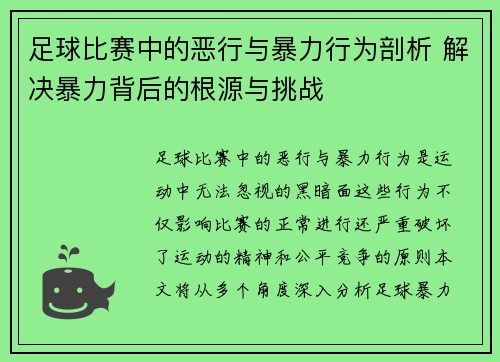 足球比赛中的恶行与暴力行为剖析 解决暴力背后的根源与挑战