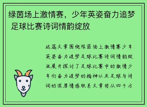 绿茵场上激情赛，少年英姿奋力追梦 足球比赛诗词情韵绽放