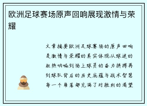 欧洲足球赛场原声回响展现激情与荣耀