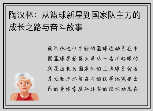 陶汉林：从篮球新星到国家队主力的成长之路与奋斗故事